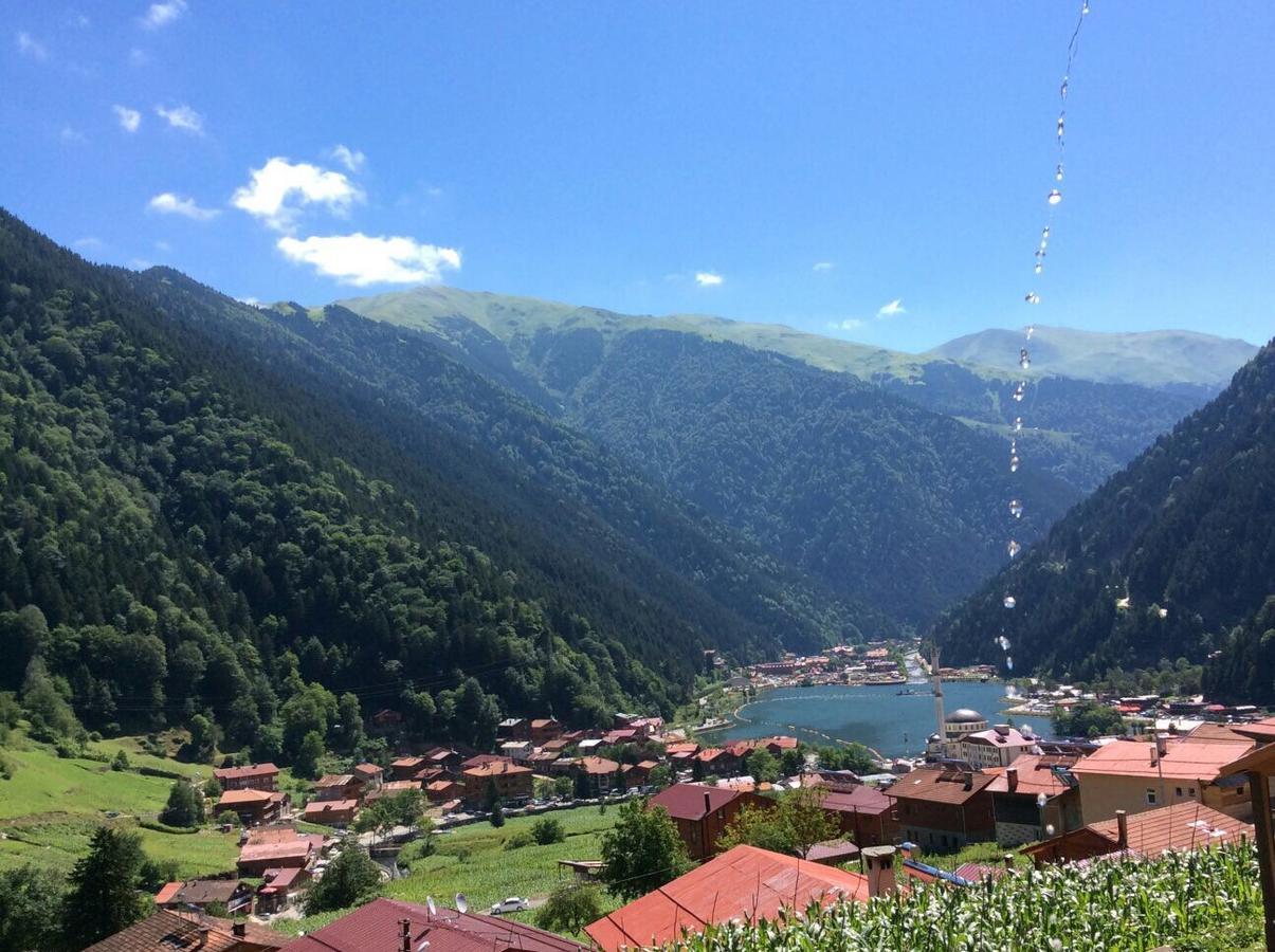 Kuzey Palace Uzungol Exterior photo